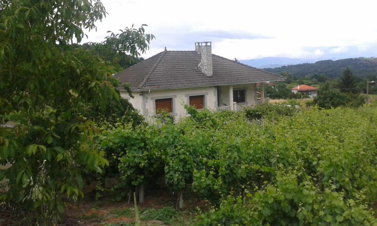 Villa Con Piscina En Panton Ribeira Sacra Galicia Ideal Para Familias Exteriör bild